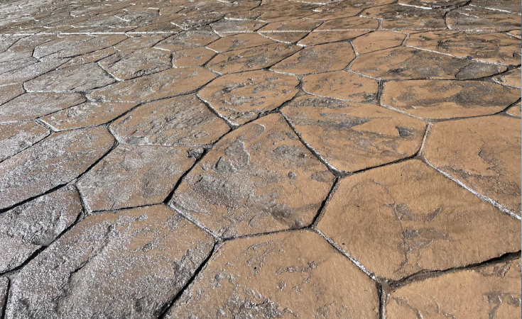 Stamped and stained concrete patio